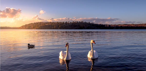 Course Image Mindful course creation